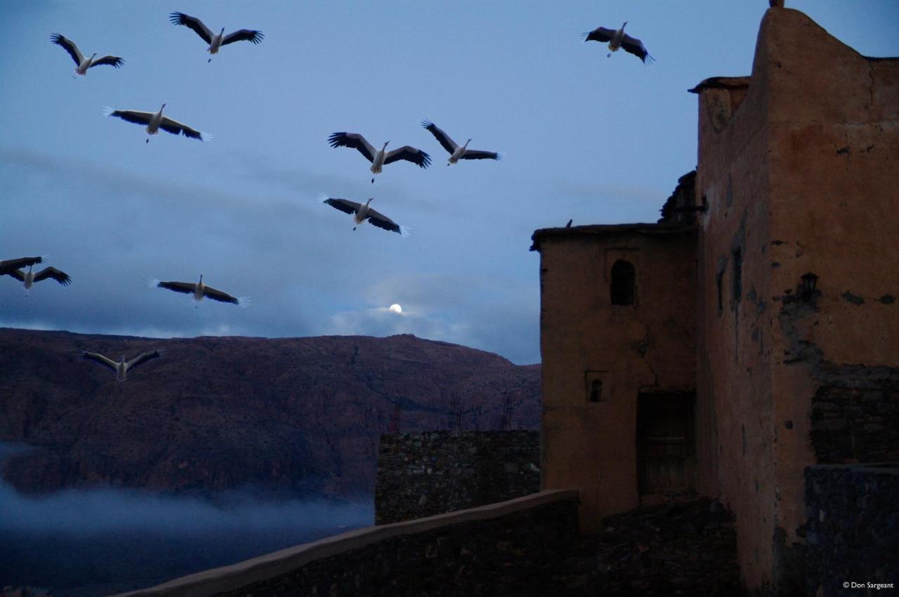 Tizourgane Kasbah Hotel Tiguissas Екстериор снимка