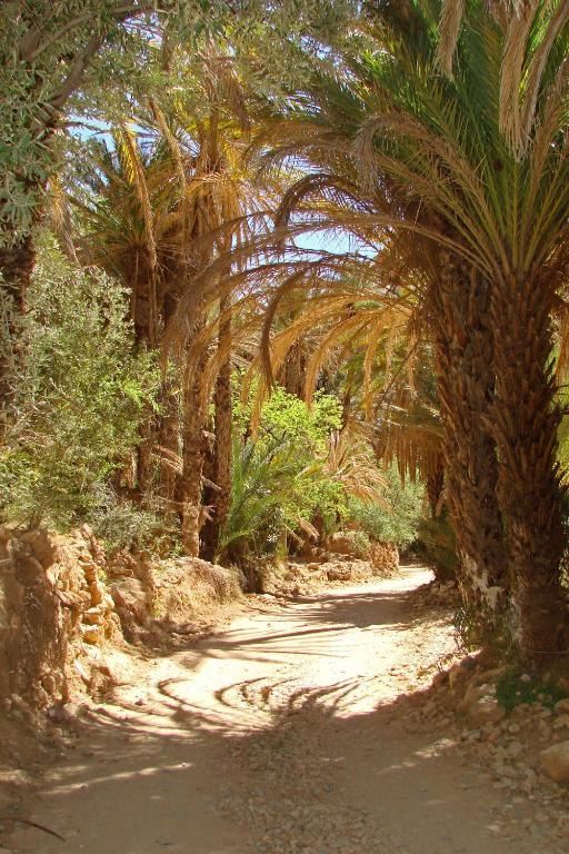 Tizourgane Kasbah Hotel Tiguissas Екстериор снимка